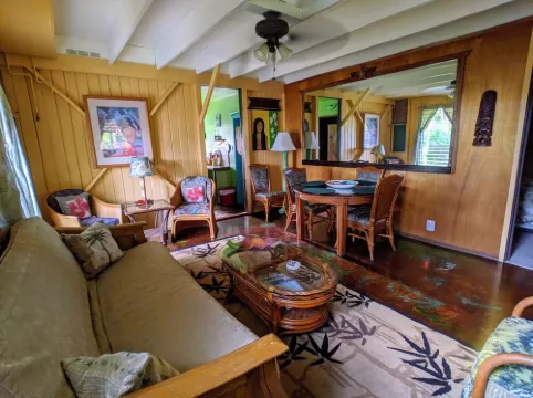 Rain Forest Apartment!