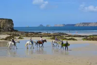 New house 100m Plage du Portzic in Morgat 8 people 4 bedrooms Các khách sạn ở Crozon