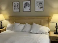 Jay Peak ski on-ski-off condo in the newest buildings directly on the mountain. 재이 호텔