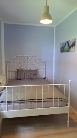 Pure nature, horse farm, forest property