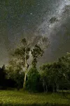 Glenview Cottage   Stanthorpe
