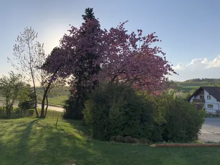 Vacation farmhouse New Style the chalet on northern Lake Constance with a barrel sauna Отели рядом с достопримечательностью «Skatepark Abt-Hyller-Straße 71, 88250 Weingarten»