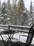 -Recently Remodeled- Condo in the Woods, On Resort Shuttle, close to River Run!