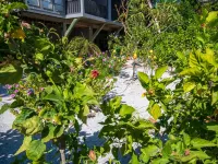 SANDY TUNDRA TOWNHOUSE, WATER-VIEWS, BOAT SLIP, PRIVATE BEACH, CLUB ACCESS Hotels in Captiva