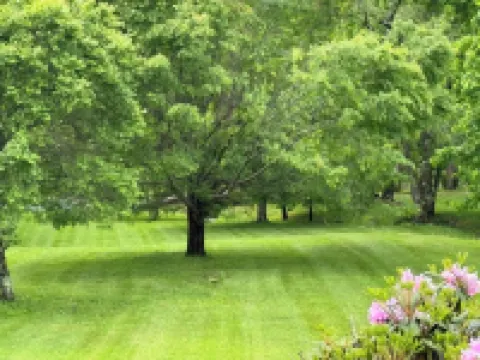 Welborn House - Creekside