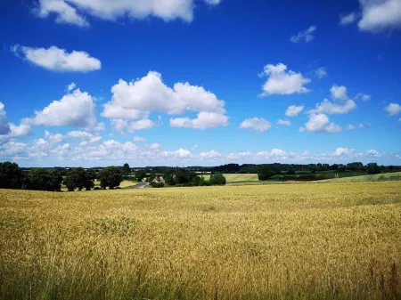 Apartment "PASTORATSGARTEN SCHLEI": Relax and enjoy