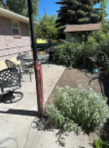 Cozy Downtown Zen Destination