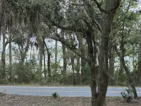 Perfect Marshside Home Hotels near Coastal Discovery Museum