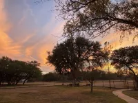Guest house nestled amongst 100 year old oaks with fun farm animals!