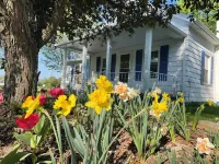 Peaceful cottage in farmland - close to Luray, Shenandoah River & National Park Hotels in Page County