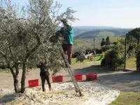 Apartment House with garden Tuscany Chianti ,  Florence 15km.