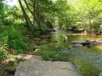 Pet friendly 2br/2ba cabin with hot tub on Rushing Trout Stream!