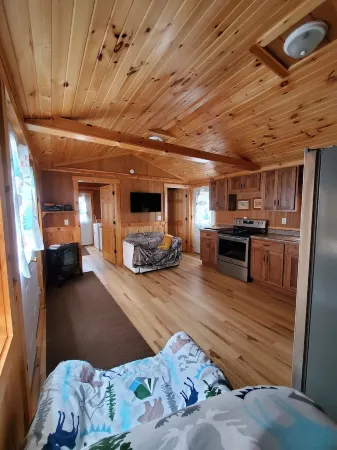 RealTree Camo Cabin 2