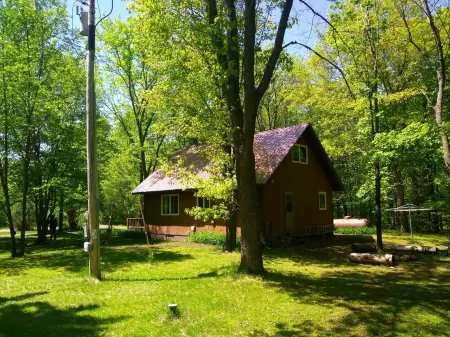 Little house in the woods but only 5 minutes from town!