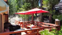 Mountain cabin retreat fenced yard with hot tub