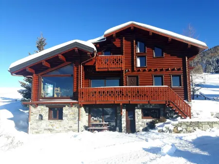 Les Mélèzes - Very beautiful Chalet 200m from the slopes of La Plagne - 12-15 pers.