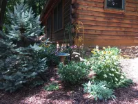 The Cozy Cabin In Black Mountain
