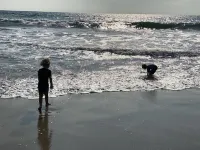 Disneyland, Beach and Much More!