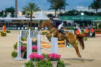 Oasis in the heart of Equestrian country