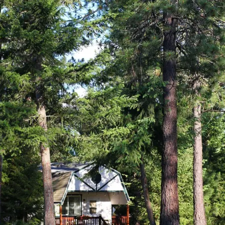 Perfect for corporate retreats, family reunions. Near Silverwood. Sleeps 38!