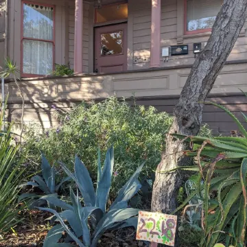 Sunny 1BR in Gorgeous Berkeley Victorian