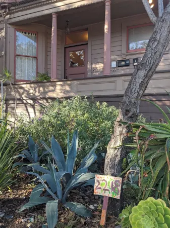 Sunny 1BR in Gorgeous Berkeley Victorian