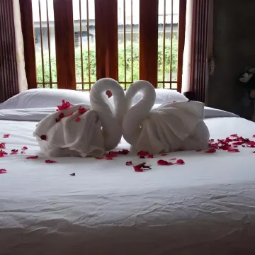 Pon-Pon & Nuan-La-or