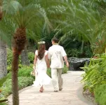 Huge Panoramic Ocean View. Walk to the Beach.Low rate of 3,900 per month.
