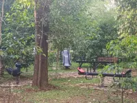 Klov Resort & Spa Hotels in Nalkeri Forest