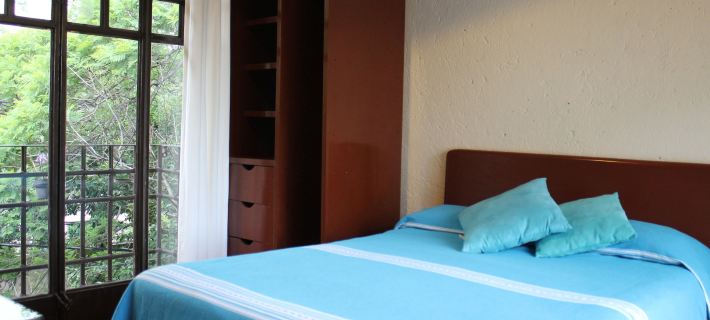 Calle Berlin Boutique Hotels in Coyoacan