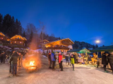 Chalet in Wildkogel Near Ski Slopes