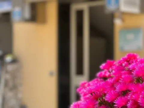 Hotel Minerva Hotéis em Otranto