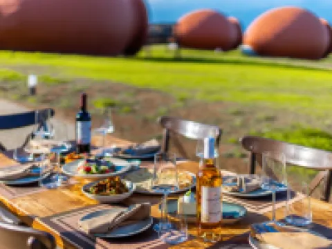 Hotel Qvevrebi Hoteles en Telavi