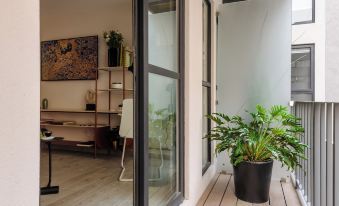 Choapan 28 - Lux Apartments in Condesa