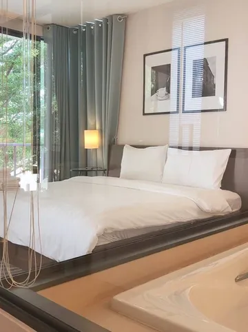 รูปภาพของปาล์มเครสเซนต์