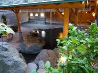 Yudanaka Tawaraya Ryokan - سبا
