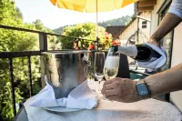 Ringhotel Sonnenhof - bar