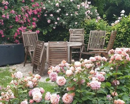 Rosindell Cottage Hotels in Halle Westfalen