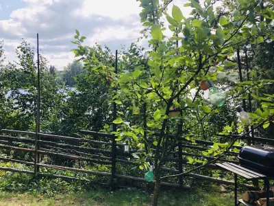 Tiny Hut in the Forest Overlooking the River Hotels near Folkärna Hembygdsförening