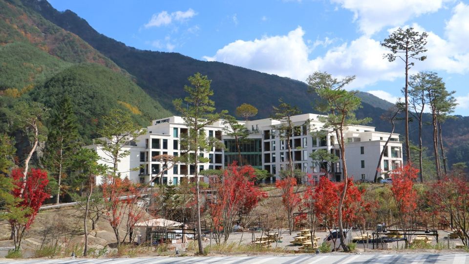 Pine Forest Jeongseon Alpine Resort