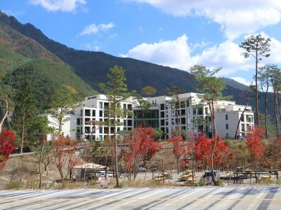 Pine Forest Jeongseon Alpine Resort