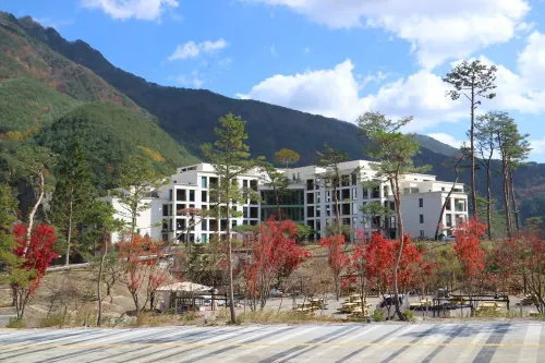 Pine Forest Jeongseon Alpine Resort - 3 звезды