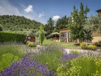 Country House Nonna Rana Hotels in Cannara