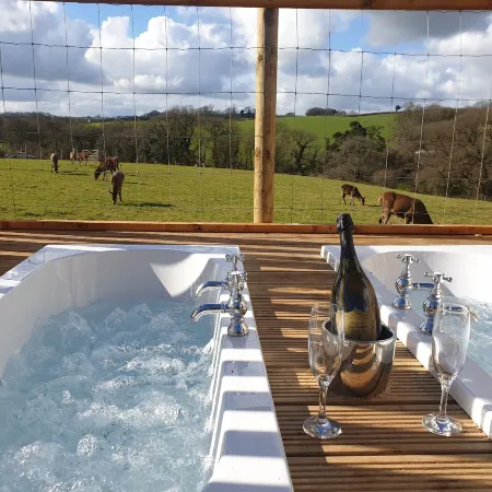 Luxury Safari Lodge-Sleeps 4 6-Deer Park-Dogs Ok