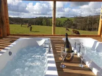 Luxury Safari Lodge-Sleeps 4 6-Deer Park-Dogs Ok - 3-Star