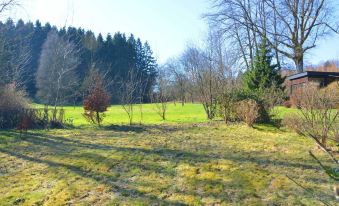 Holiday Home in Ardennes Near Chimay Abbey