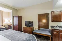 Comfort Suites Pineville - Ballantyne Area - 3-Star