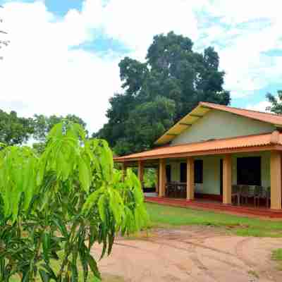 Wilpattu Dilsara Holiday Resort Hotel Exterior