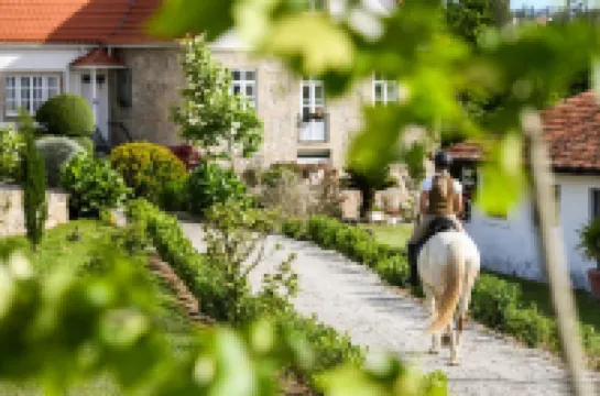 Quinta Lusitânia Hotels in 