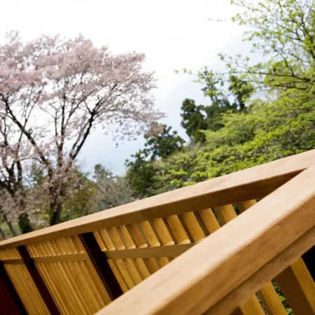 Hakone Kyuan